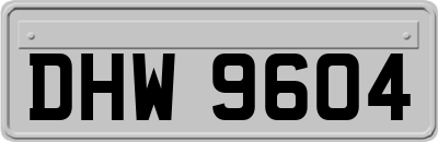 DHW9604