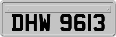 DHW9613