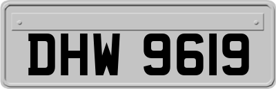 DHW9619