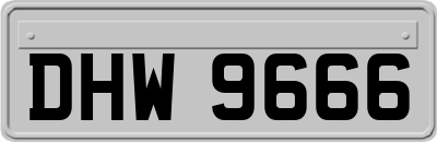 DHW9666