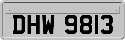 DHW9813