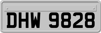 DHW9828
