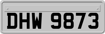 DHW9873