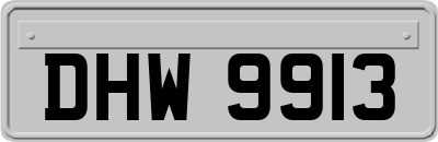 DHW9913