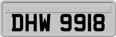 DHW9918