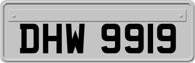 DHW9919