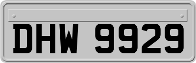 DHW9929