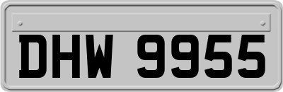 DHW9955