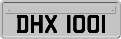 DHX1001