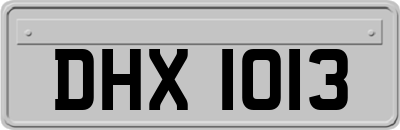 DHX1013