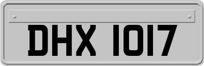DHX1017