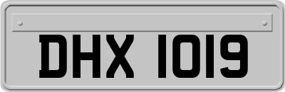 DHX1019