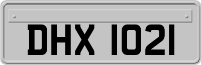 DHX1021
