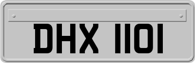 DHX1101