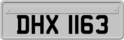 DHX1163