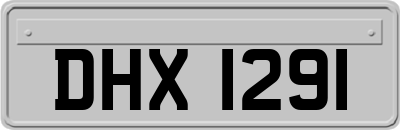 DHX1291
