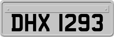 DHX1293