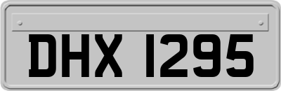 DHX1295