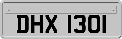 DHX1301