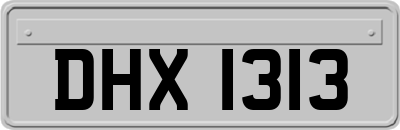 DHX1313