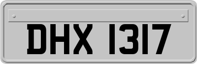 DHX1317