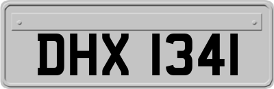 DHX1341