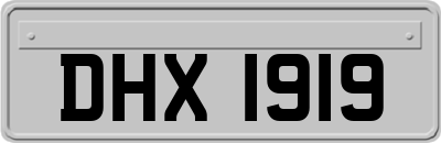DHX1919
