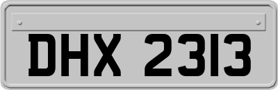 DHX2313