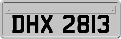 DHX2813