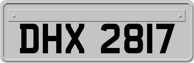 DHX2817