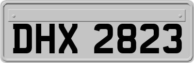 DHX2823