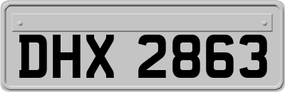 DHX2863