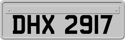 DHX2917