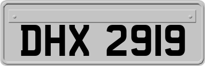 DHX2919