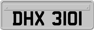 DHX3101