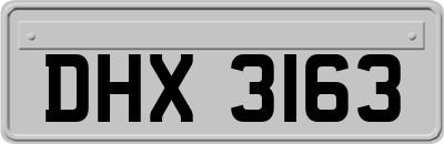 DHX3163