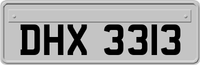 DHX3313