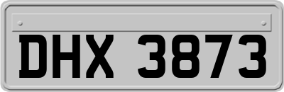 DHX3873