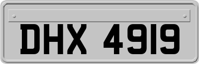 DHX4919