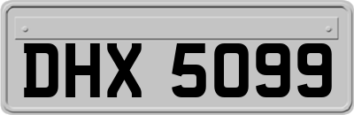 DHX5099
