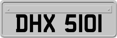 DHX5101
