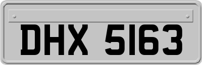 DHX5163