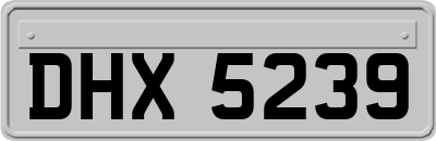 DHX5239