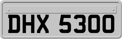 DHX5300