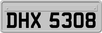 DHX5308