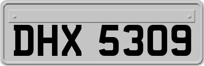 DHX5309