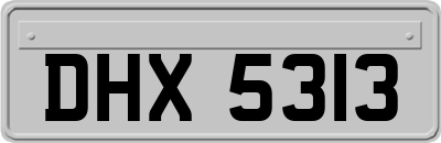 DHX5313