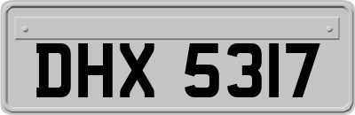 DHX5317