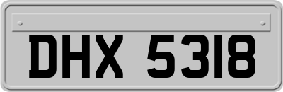 DHX5318