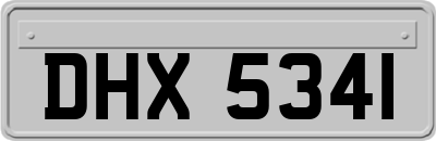 DHX5341